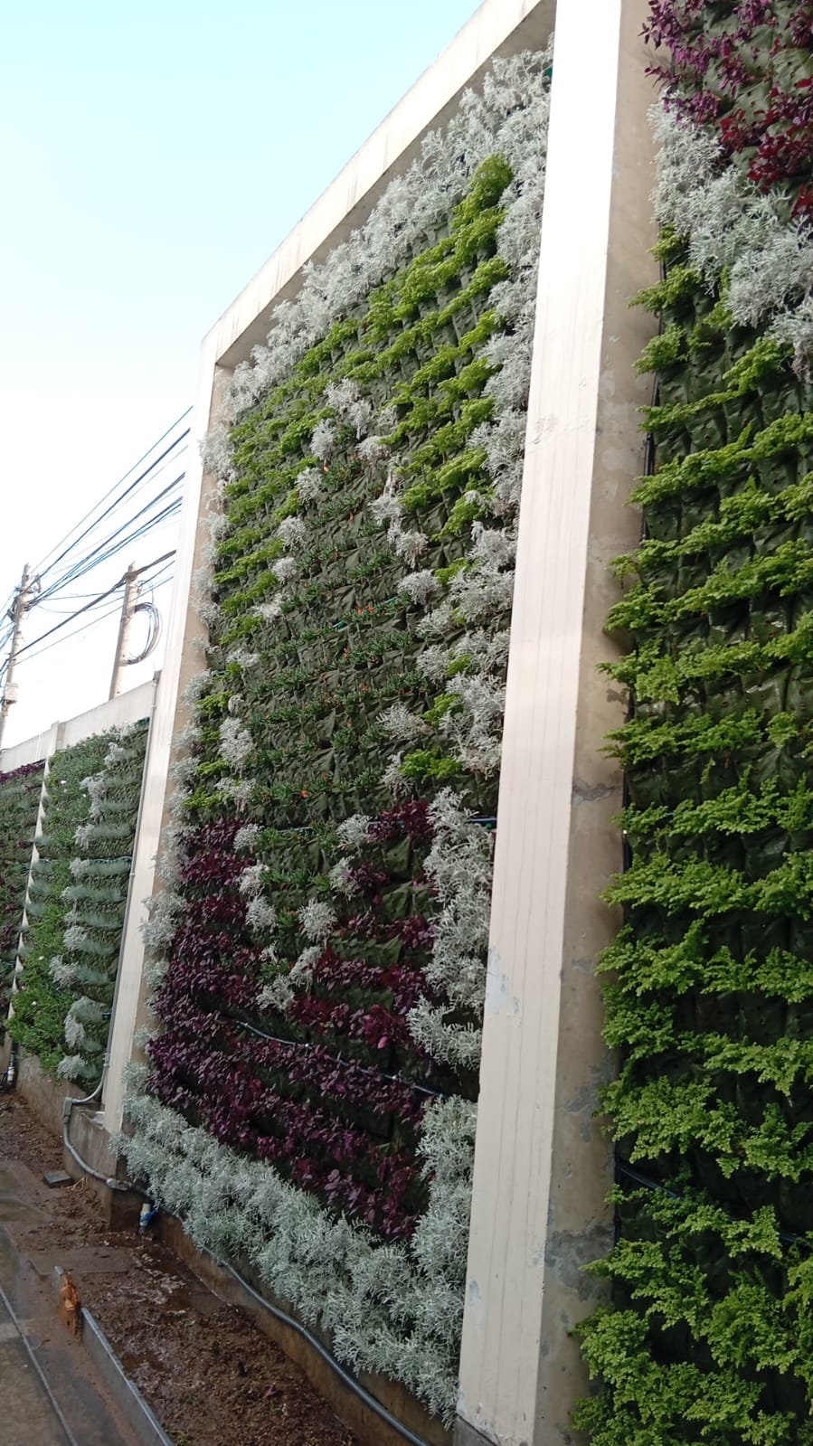 JARDINES VERTICALES